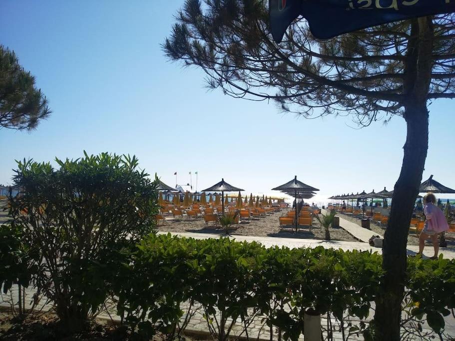 Summer By Seaside For Rent Golem (Tirana)