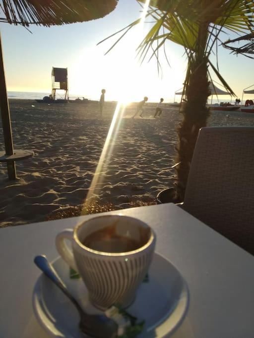 Apartment Summer By Seaside For Rent Golem (Tirana)
